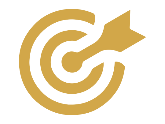 Our Vision